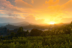 战队巡礼!卡塔尔电竞,他们是赛场上的焦点!